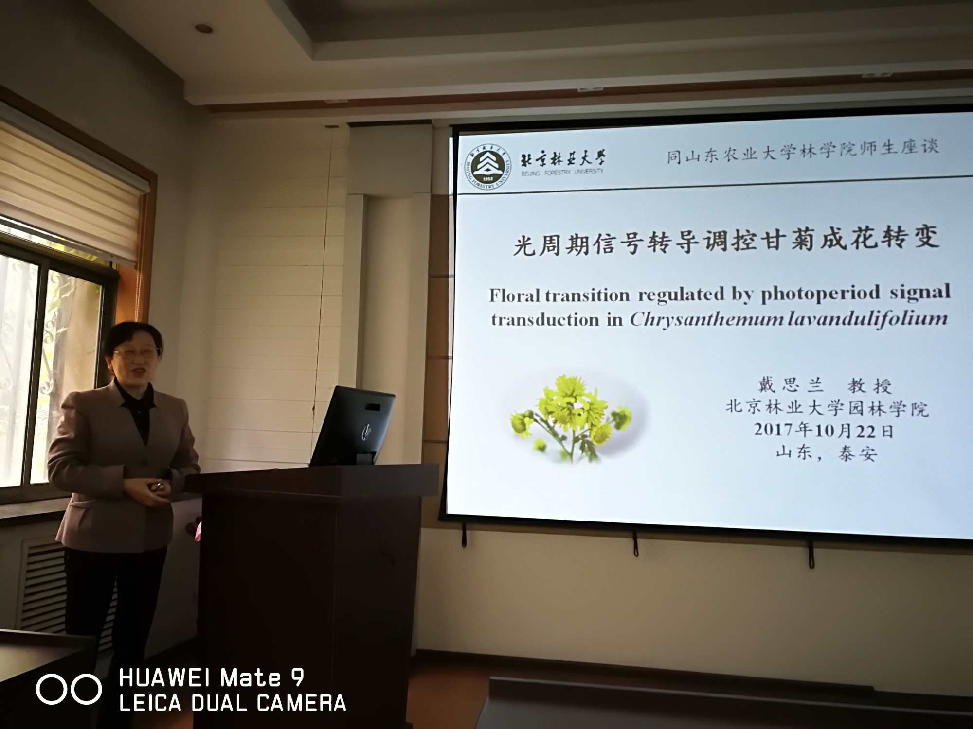 葡京娱乐app